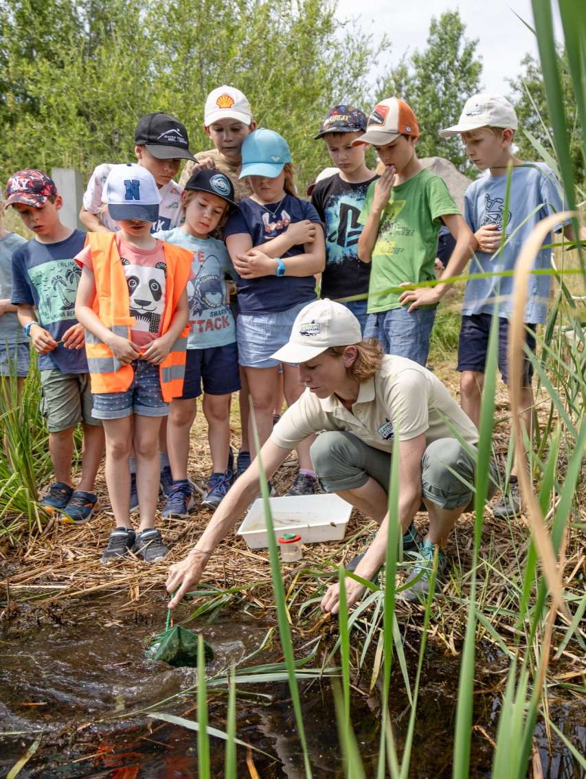 Filtern nach Begleitung