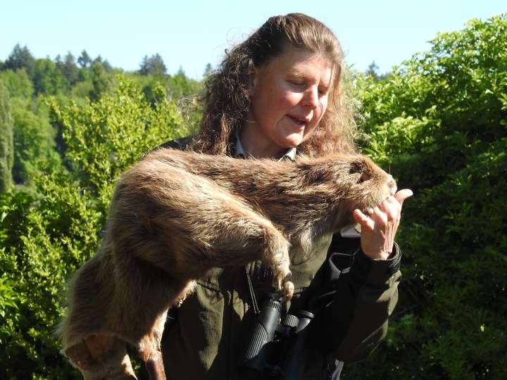 Führungen im Auengebiet Oberburgerschachen 