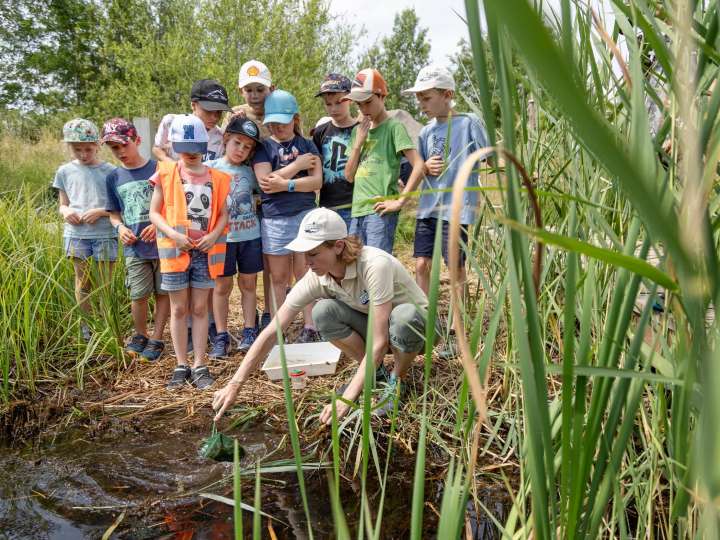 Lebensraum Kiesgrube