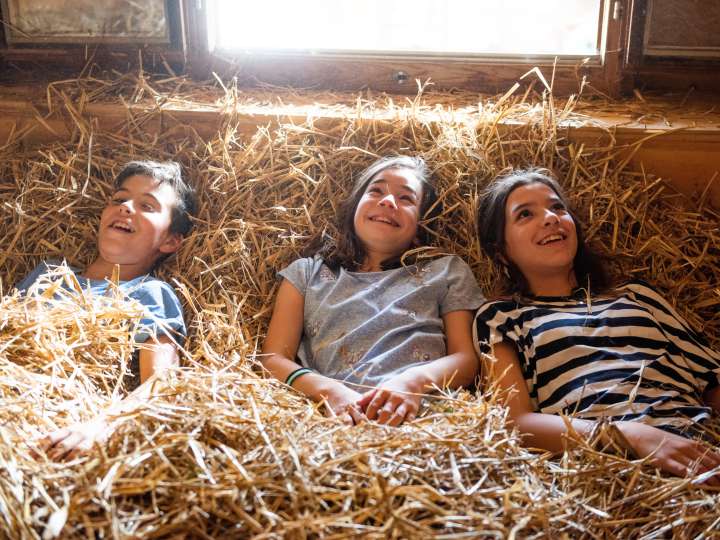 Schule auf dem Hof Bättwil