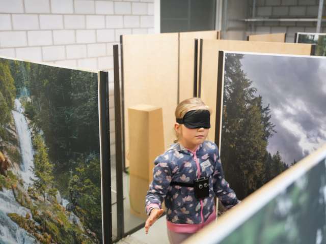 Wie die Fledermaus Bäume hört