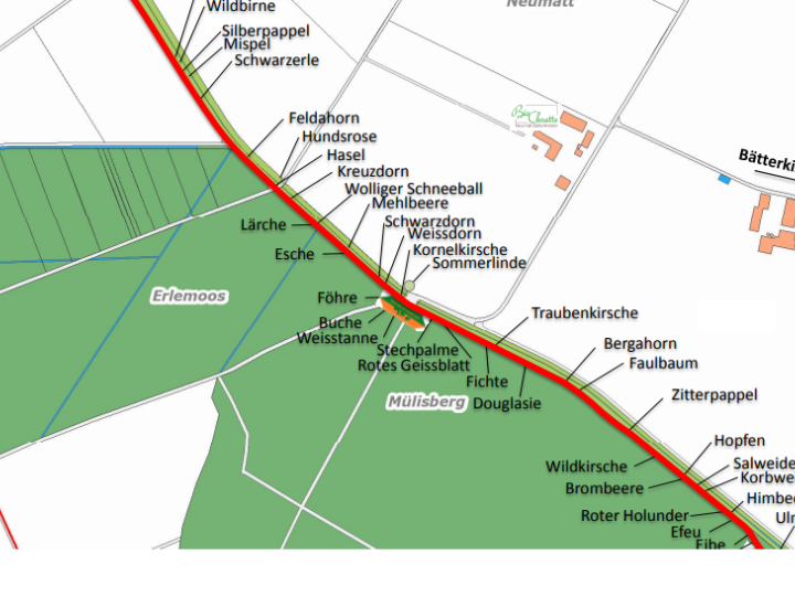 Baum- und Strauchlehrpfad, Bätterkinden