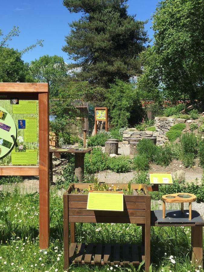 Eine Wildstation erleben