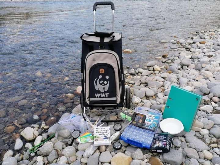 Wasserwelt Emme entdecken