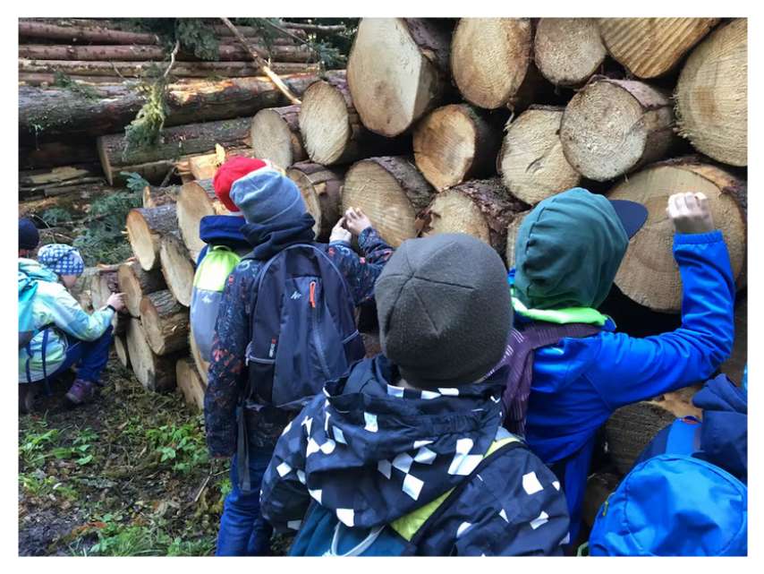 Treffpunkt Berner Wald | Waldtag für Schulen