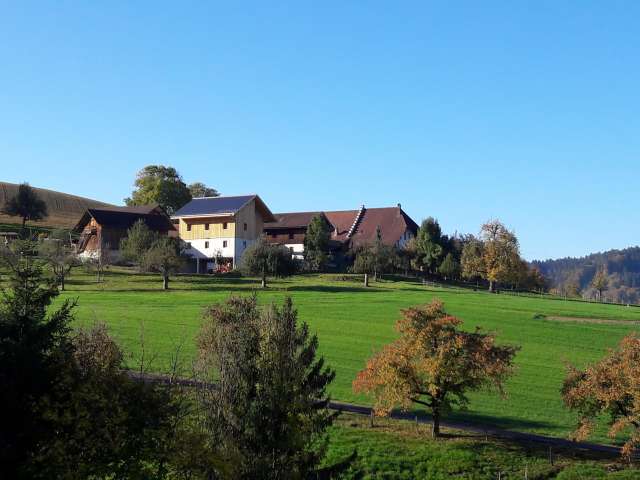 Bauernhof Bättwil, Burgdorf