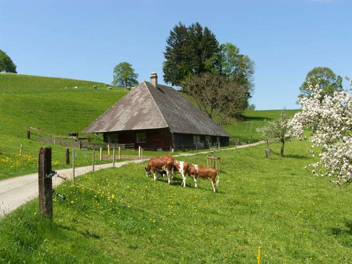 „Althüsli“ Huebe, Ferienhaus oder Gruppenhaus in Dürrenroth