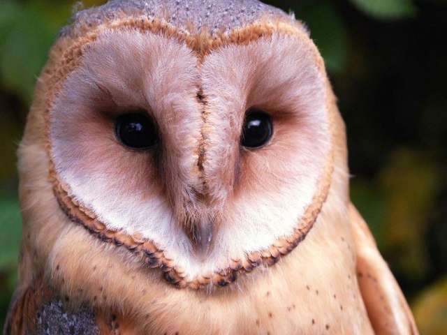 Naturlehrpfad Stiftung Wildstation Landshut