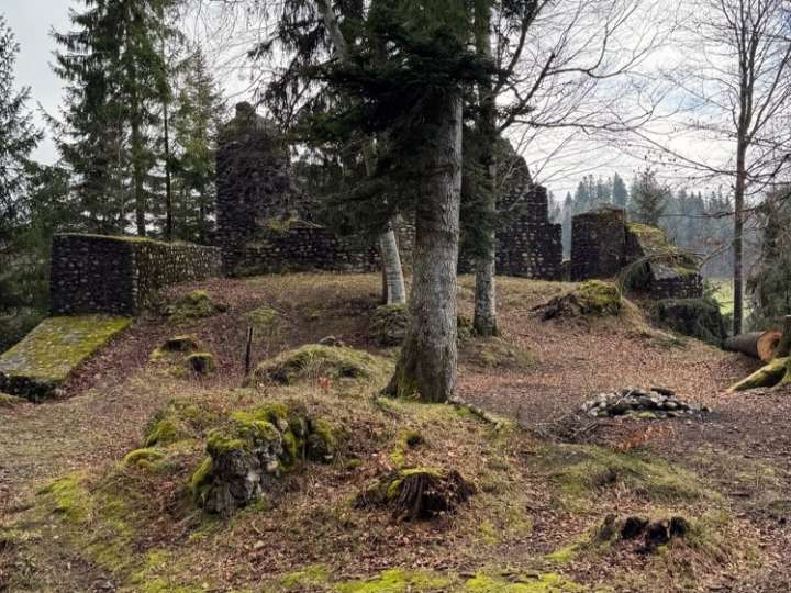 Burgruine Alt Signau