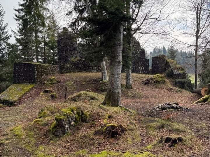 Burgruine Alt Signau